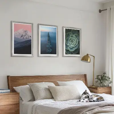 Gerahmtes Bilderset mit Bergen, rosa Himmel, Wasser und Sukkulenten