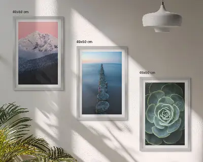 Gerahmtes Bilderset mit Bergen, rosa Himmel, Wasser und Sukkulenten