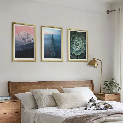 Gerahmtes Bilderset mit Bergen, rosa Himmel, Wasser und Sukkulenten