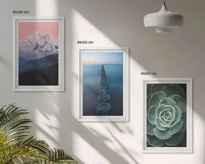 Gerahmtes Bilderset mit Bergen, rosa Himmel, Wasser und Sukkulenten