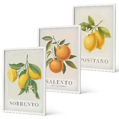 Gerahmtes Bilderset mit Amalfi Zitronen und Orangen