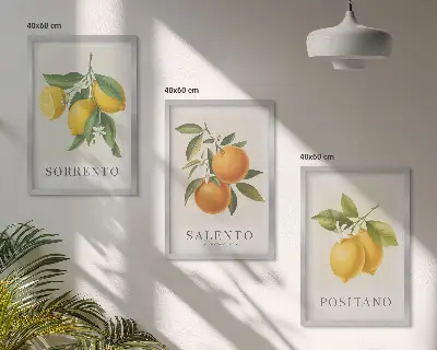 Gerahmtes Bilderset mit Amalfi Zitronen und Orangen