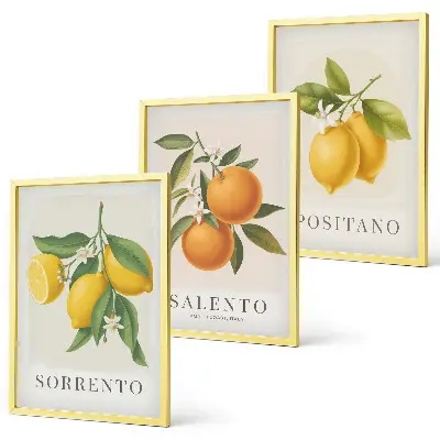 Gerahmtes Bilderset mit Amalfi Zitronen und Orangen