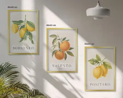 Gerahmtes Bilderset mit Amalfi Zitronen und Orangen
