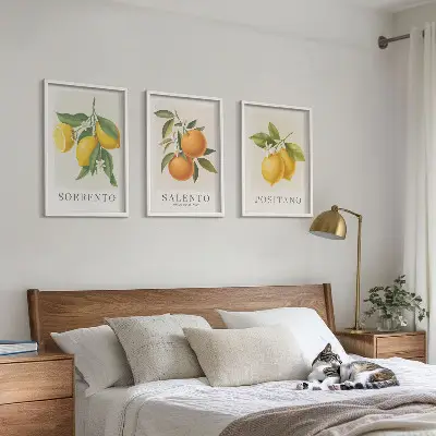 Gerahmtes Bilderset mit Amalfi Zitronen und Orangen