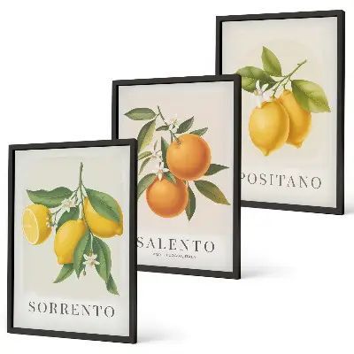 Gerahmtes Bilderset mit Amalfi Zitronen und Orangen