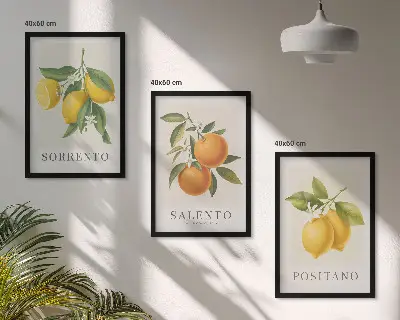 Gerahmtes Bilderset mit Amalfi Zitronen und Orangen