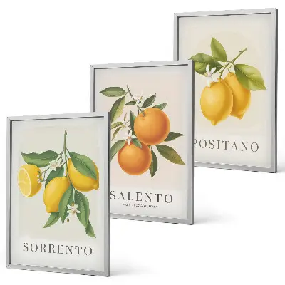 Gerahmtes Bilderset mit Amalfi Zitronen und Orangen