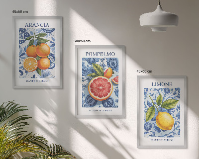 Bilder-3er-set mit rahmen Vintage-Illustrationen von Zitrusfrüchten