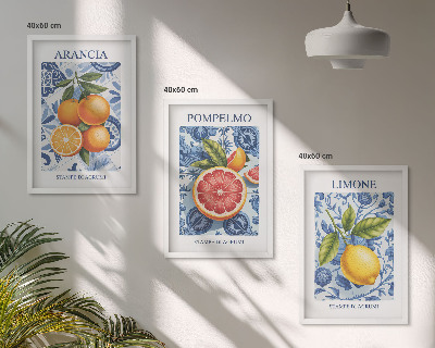 Bilder-3er-set mit rahmen Vintage-Illustrationen von Zitrusfrüchten