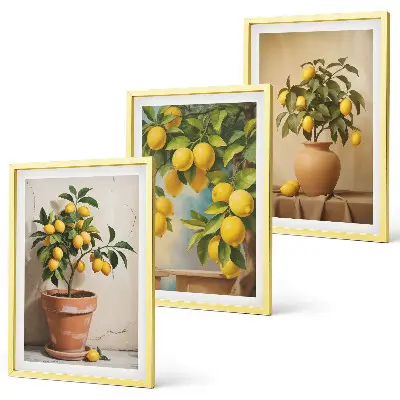 Zitronenbäumchen im Topf und in der Vase 3er-Set Bilder mit Rahmen