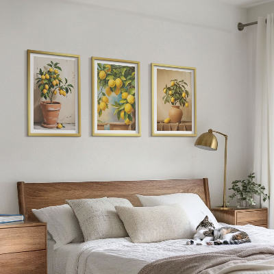 Bilder-3er-set mit rahmen Zitronenbäumchen im Topf und in der Vase