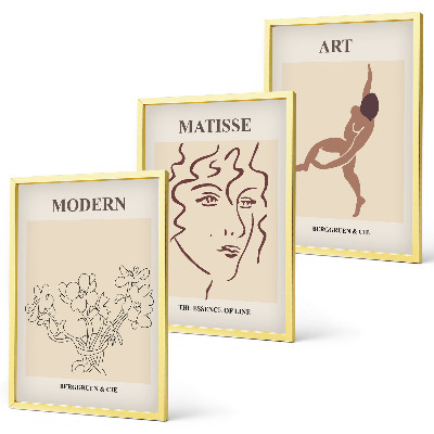 Bilder-3er-set mit rahmen Stilvolle Grafiken, Blumen, Figuren