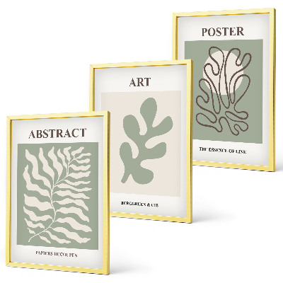 Bilder-3er-set mit rahmen Poster mit Pflanzenmustern von Matisse