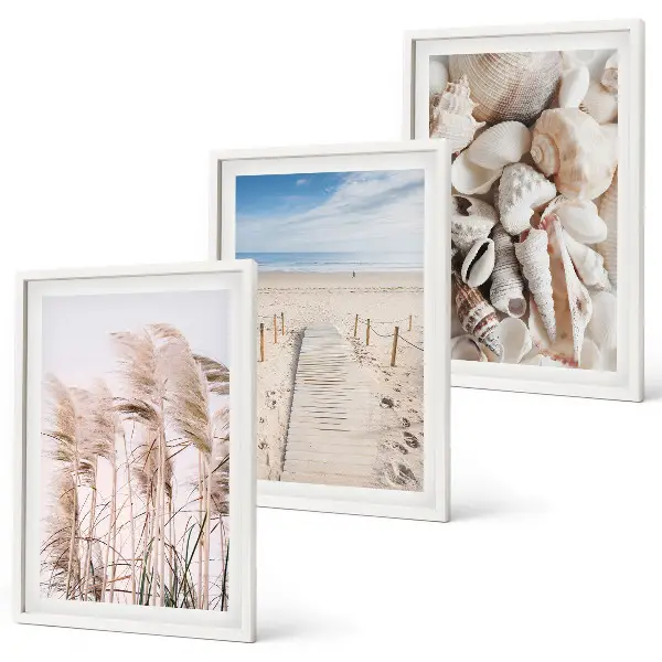 Strandmuscheln Seegras 3er-Set Bilder mit Rahmen