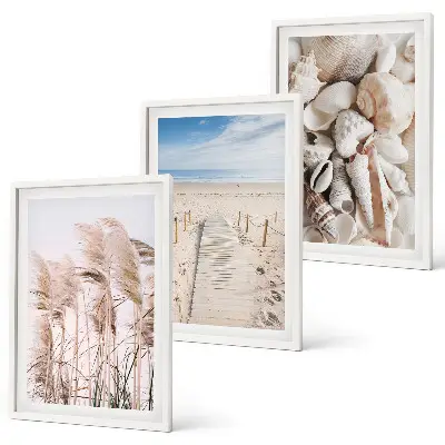 Strandmuscheln Seegras 3er-Set Bilder mit Rahmen