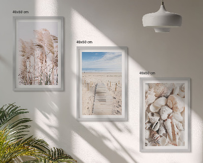 Bilder-3er-set mit rahmen Strandmuscheln Seegras