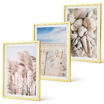 Bilder-3er-set mit rahmen Strandmuscheln Seegras