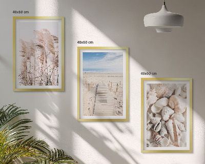 Bilder-3er-set mit rahmen Strandmuscheln Seegras