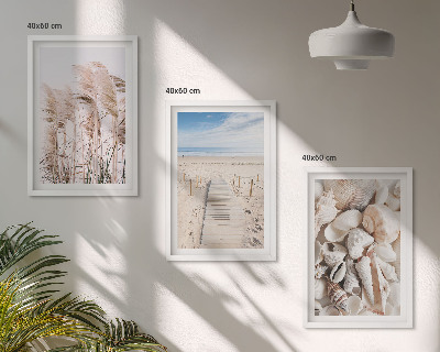 Bilder-3er-set mit rahmen Strandmuscheln Seegras