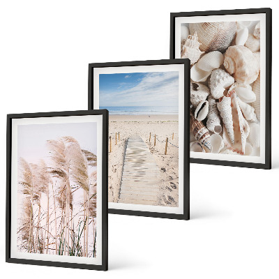 Bilder-3er-set mit rahmen Strandmuscheln Seegras