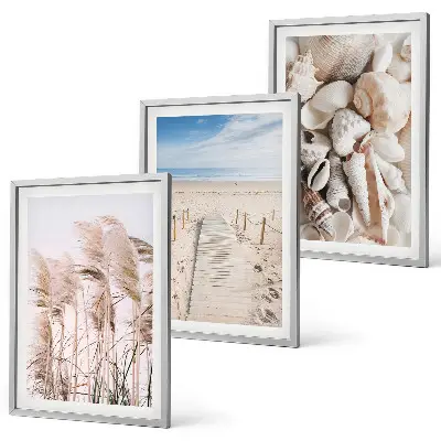 Strandmuscheln Seegras 3er-Set Bilder mit Rahmen