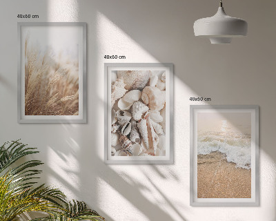 Bilder-3er-set mit rahmen Strandmotive, Muscheln, Wellen