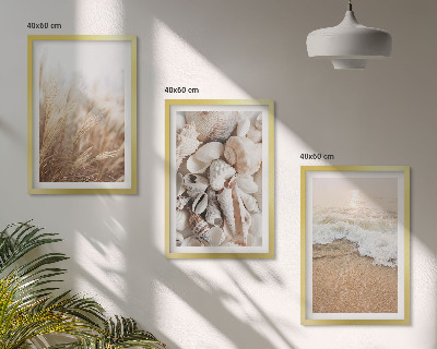 Bilder-3er-set mit rahmen Strandmotive, Muscheln, Wellen