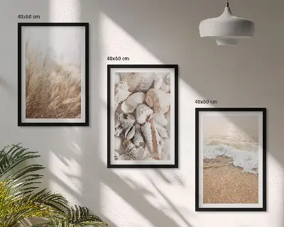 3er-Set Bilder mit Rahmen mit Strandmotiven, Muscheln und Wellen