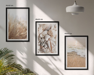 Bilder-3er-set mit rahmen Strandmotive, Muscheln, Wellen