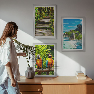 Gerahmtes bilderset Tropischer Wald Papageienwasserfall
