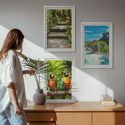 Gerahmtes bilderset Tropischer Wald Papageienwasserfall