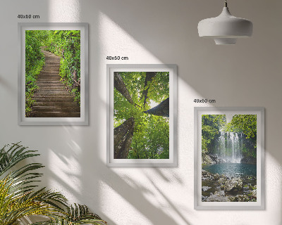 Bilder-3er-set mit rahmen Pfad Wald Wasserfall Vegetation