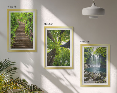 Bilder-3er-set mit rahmen Pfad Wald Wasserfall Vegetation