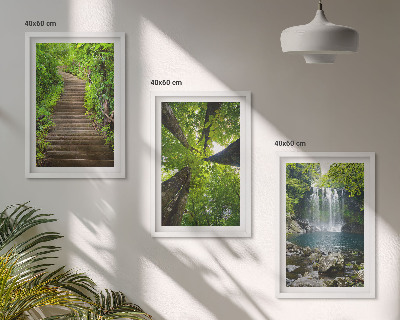 Bilder-3er-set mit rahmen Pfad Wald Wasserfall Vegetation