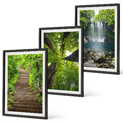 Bilder-3er-set mit rahmen Pfad Wald Wasserfall Vegetation