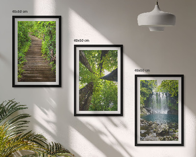 Bilder-3er-set mit rahmen Pfad Wald Wasserfall Vegetation
