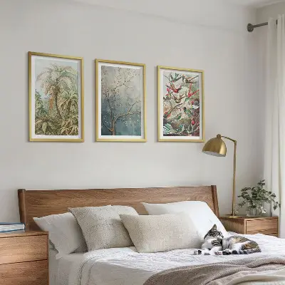 3er-Set Bilder mit Rahmen mit tropischen Pflanzen, Vögeln und Naturmotiven