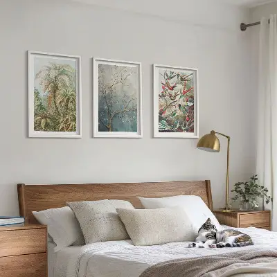 3er-Set Bilder mit Rahmen mit tropischen Pflanzen, Vögeln und Naturmotiven