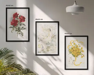 Rosen rot-weiße Form 3er-set bilder mit rahmen