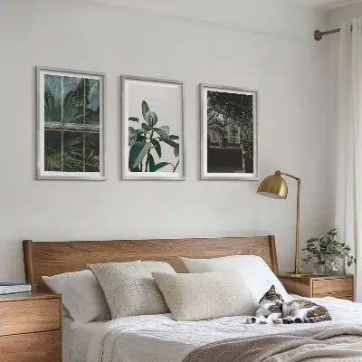 Gerahmtes Bilderset mit grünen Blättern einer Fensterpflanze