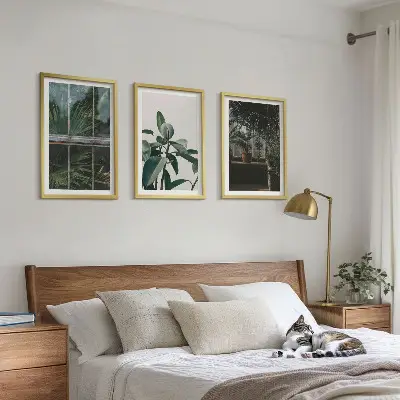 Gerahmtes Bilderset mit grünen Blättern einer Fensterpflanze