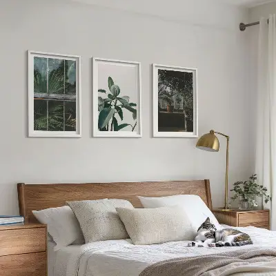 Gerahmtes Bilderset mit grünen Blättern einer Fensterpflanze