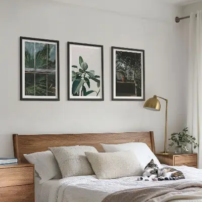 Gerahmtes Bilderset mit grünen Blättern einer Fensterpflanze
