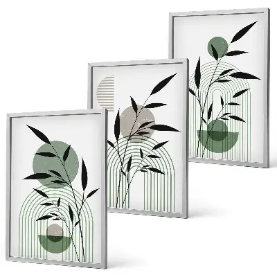 Boho-Pflanzenkompositionen 3er-Set mit Rahmen