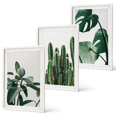 Tropische Pflanzenbilder 3er-Set mit Rahmen