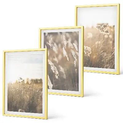 Landschaftsgrasblumen Wärme 3er-Set Bilder mit Rahmen