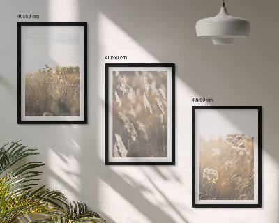 Bilder-3er-set mit rahmen Landschaftsgrasblumen Wärme