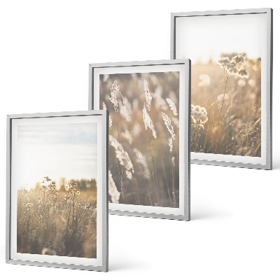 Bilder-3er-set mit rahmen Landschaftsgrasblumen Wärme