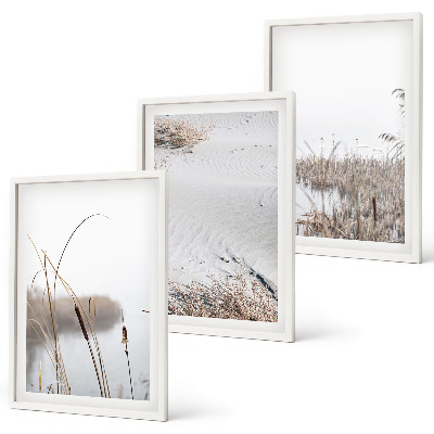 Bilder-3er-set mit rahmen Wasserpflanzen im Sommer